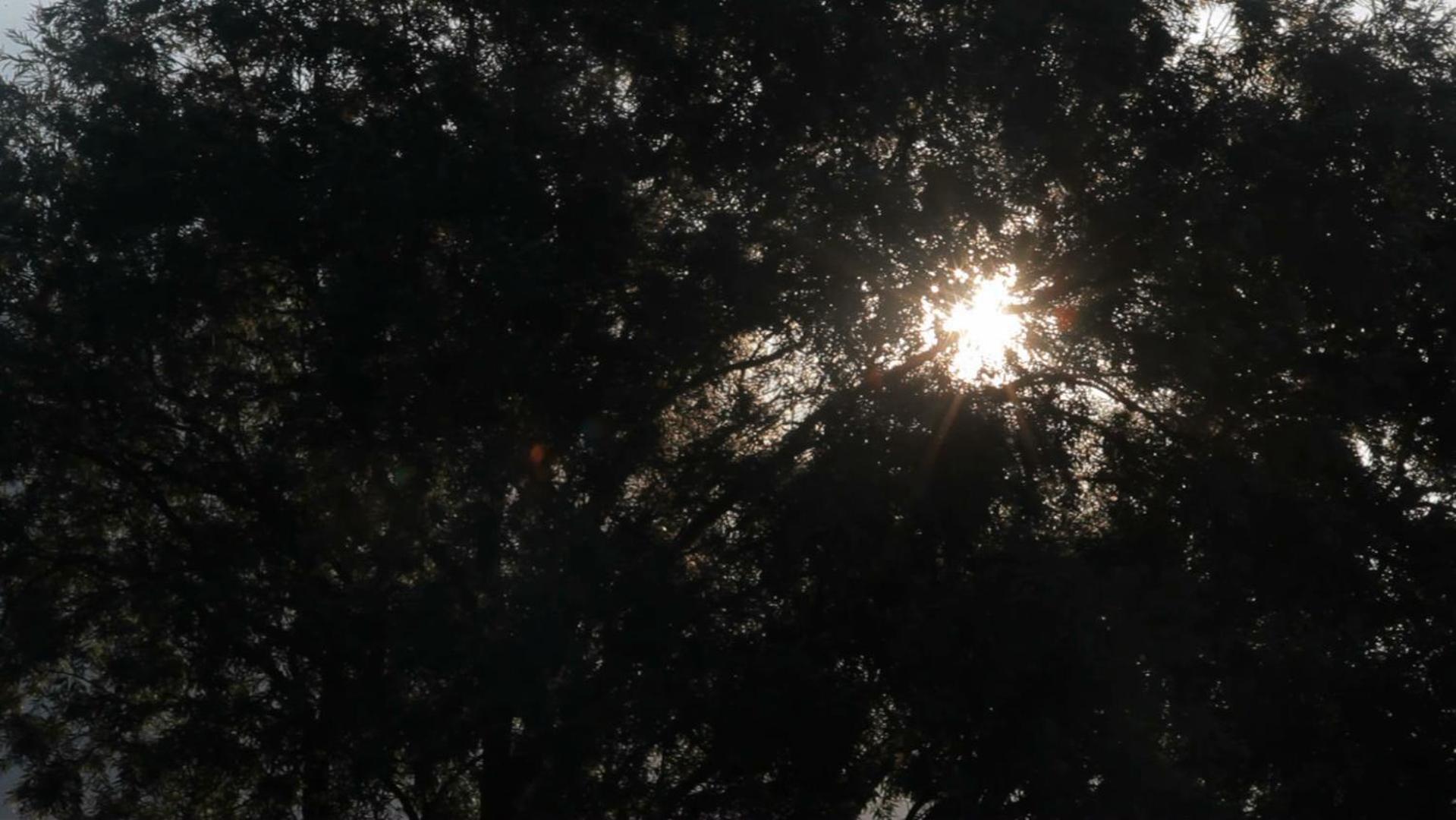 Cascina Borgofrancone Aparthotel Gera Lario Bagian luar foto
