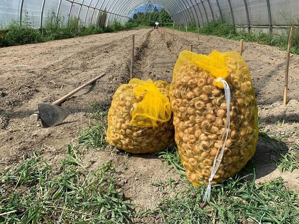 Cascina Borgofrancone Aparthotel Gera Lario Bagian luar foto