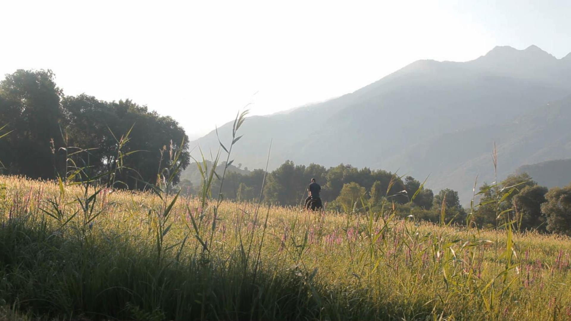 Cascina Borgofrancone Aparthotel Gera Lario Bagian luar foto
