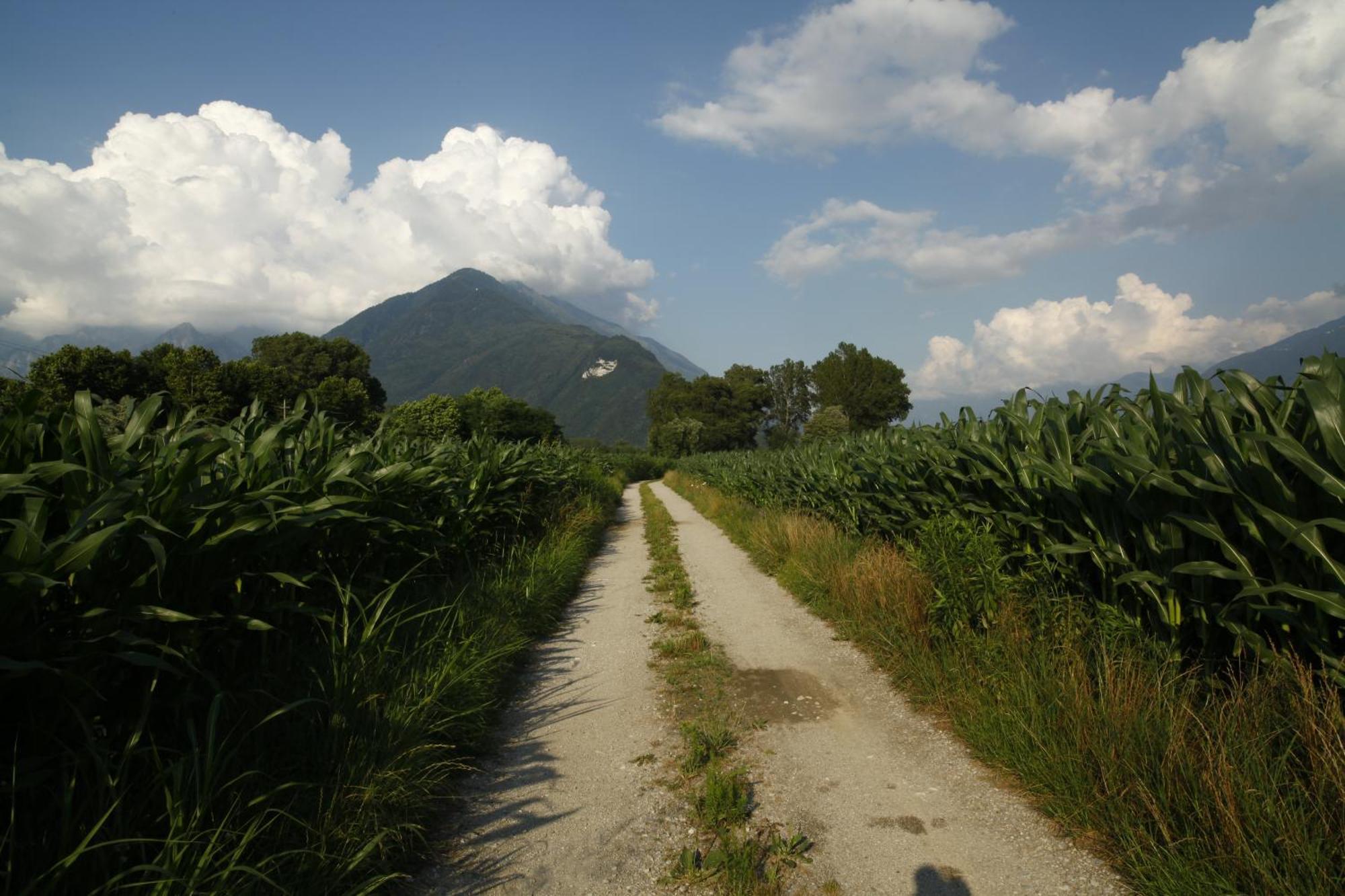 Cascina Borgofrancone Aparthotel Gera Lario Bagian luar foto