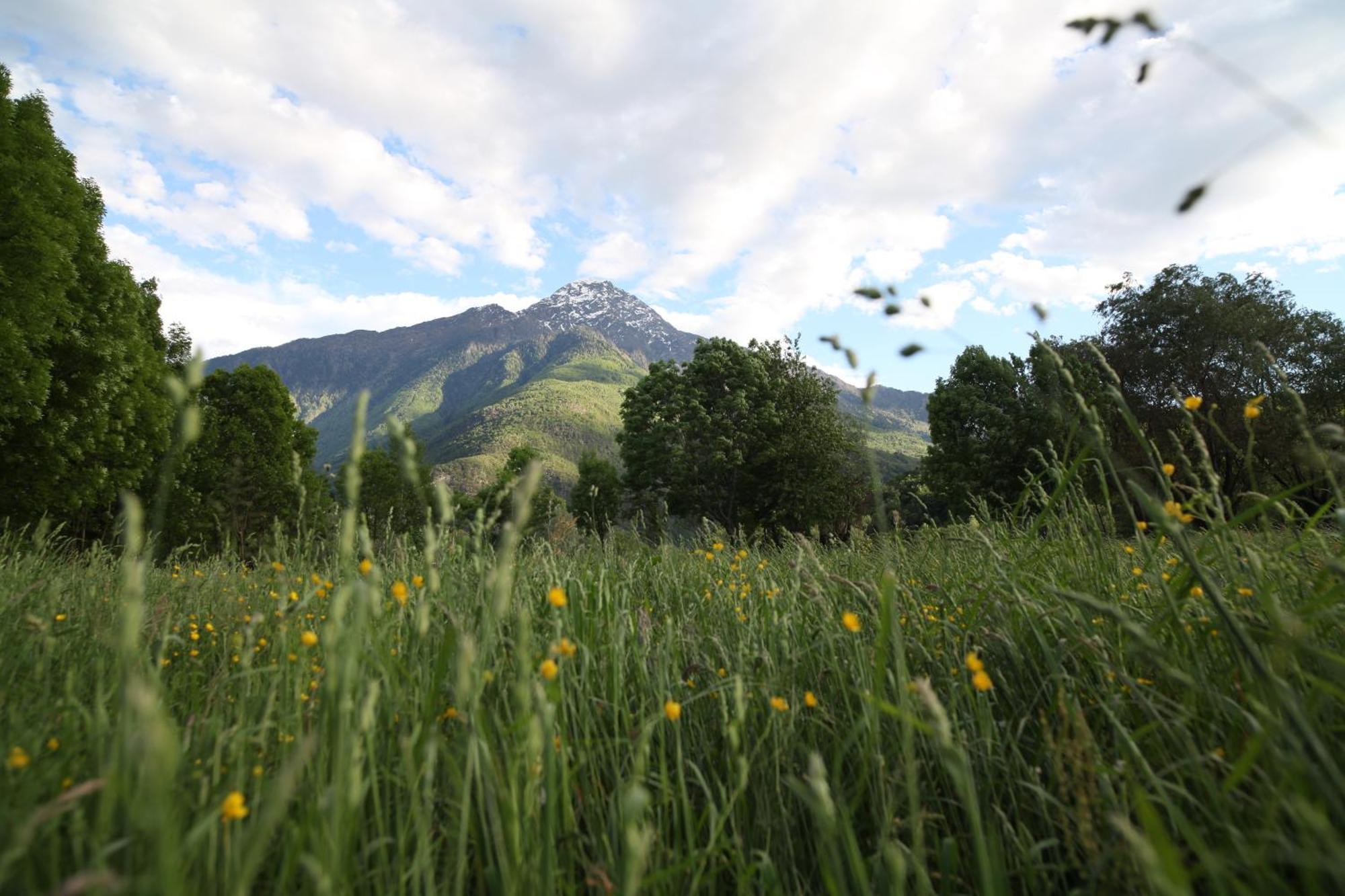 Cascina Borgofrancone Aparthotel Gera Lario Bagian luar foto